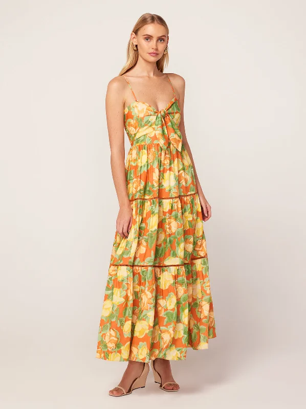 Skater DressImmy Apricot Painted Floral Print Midi Dress